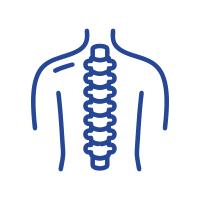 Spine